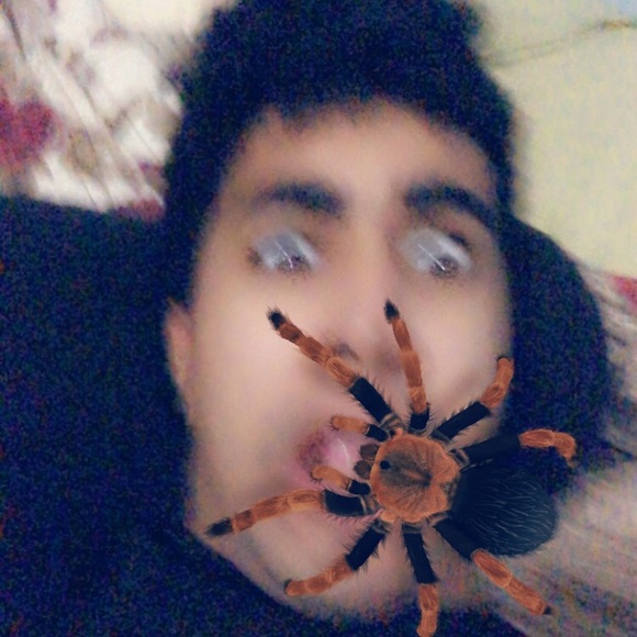 Meet your Posher, George - Picture 8 of 8